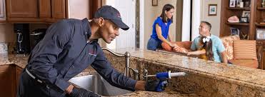 Professional Pest control in Clementon, NJ