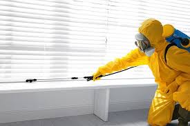 Best Real Estate Pest Inspections  in Clementon, NJ